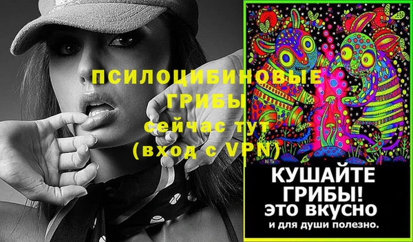 прущие крисы Алзамай