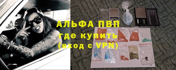 прущие крисы Алзамай
