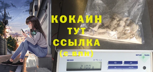 ГАЛЛЮЦИНОГЕННЫЕ ГРИБЫ Алексин