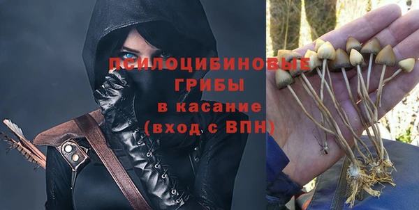 ГАЛЛЮЦИНОГЕННЫЕ ГРИБЫ Алексин