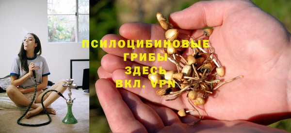 прущие крисы Алзамай