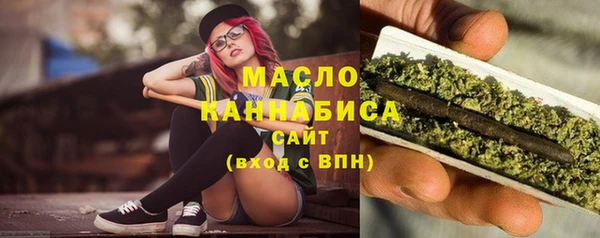 мдпв Ладушкин